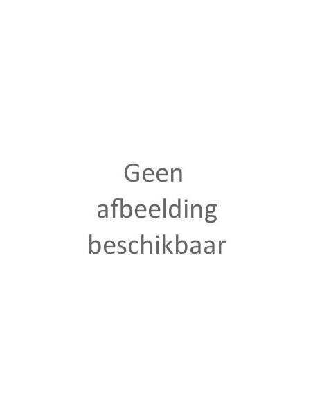 Boemerang Houten Nagelvijl 100/180 Grit